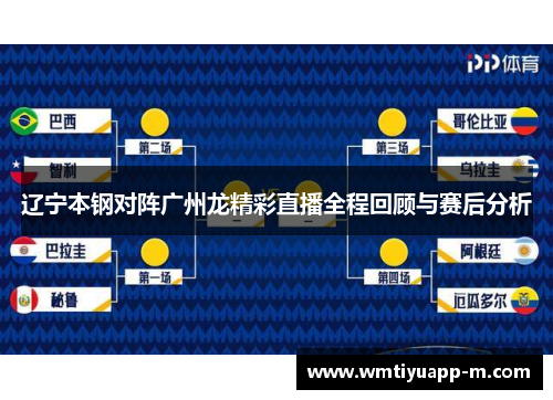 辽宁本钢对阵广州龙精彩直播全程回顾与赛后分析